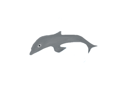 Free Dolphine Nature illustration and picture