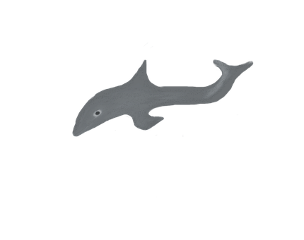 Free Dolphin Nature illustration and picture