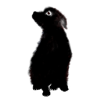 Free Dog Animal illustration and picture