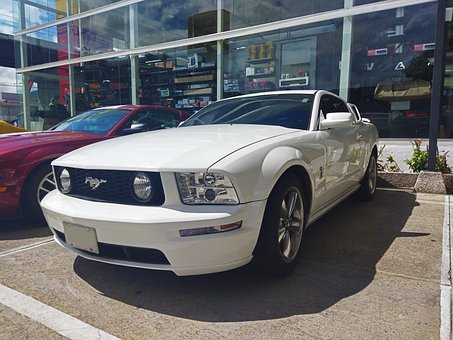 Free Mustang Mustang Gt photo and picture