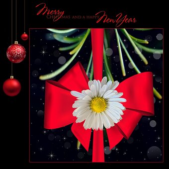 Natal, Ano Novo, Vermelho, Flor