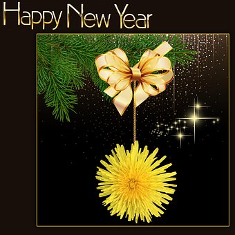 Natal, Ano Novo, Flor, Festivo, Comemoro