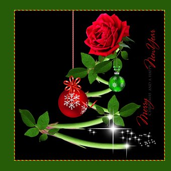 Ano Novo, Rosas, Verde, Vermelho