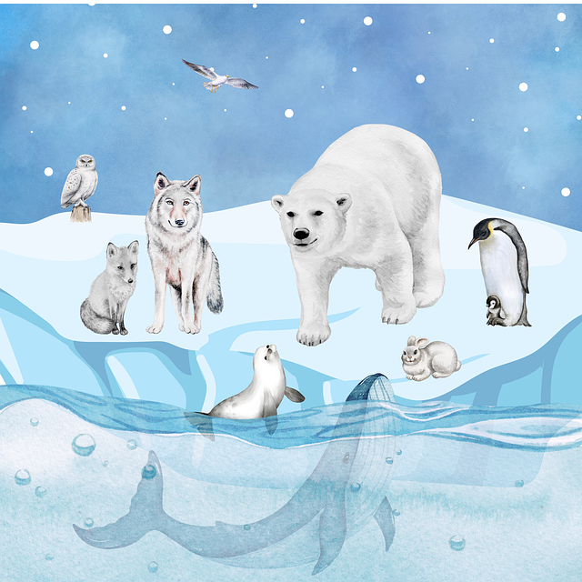 Free arctic animals icebear illustration