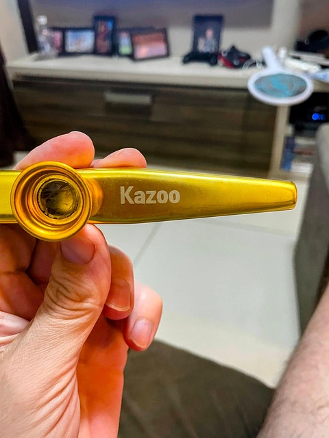 Kazoo, Instrument, Sjov, Metal, Blæse