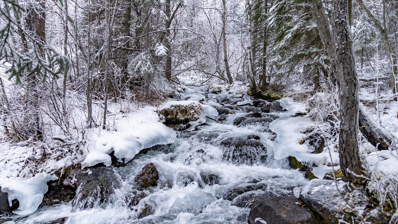 雪 冰 冻结 - Pixabay上的免费照片 - Pixabay