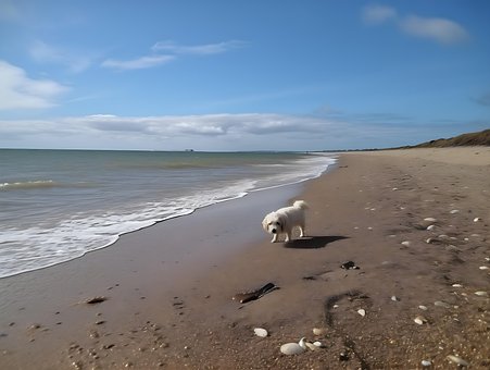Mild Varme, Browndown Point Strand