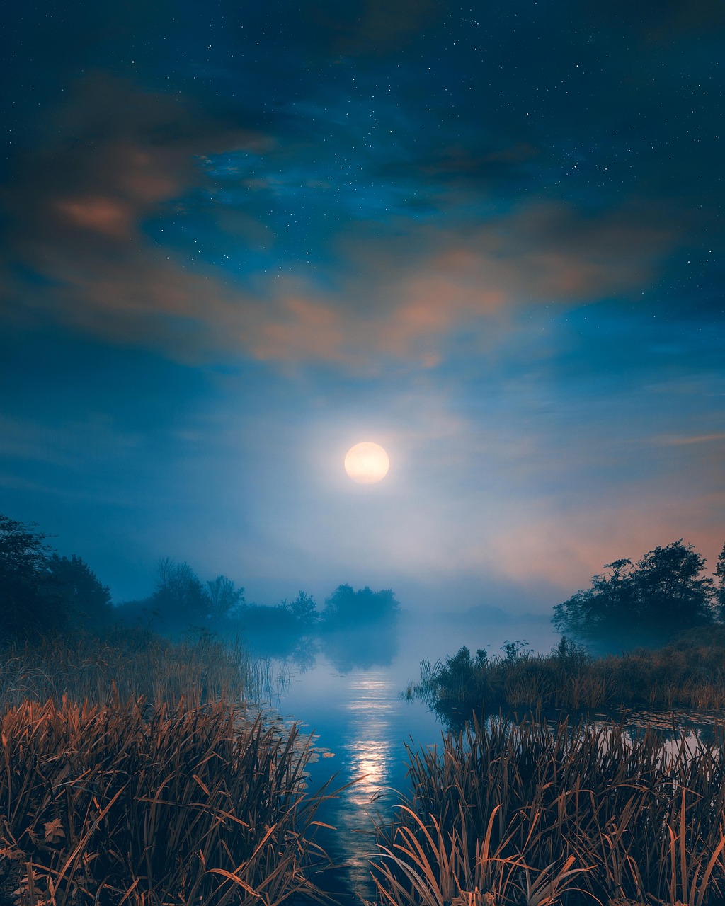 河 多雾路段 夜晚 - Pixabay上的免费照片 - Pixabay