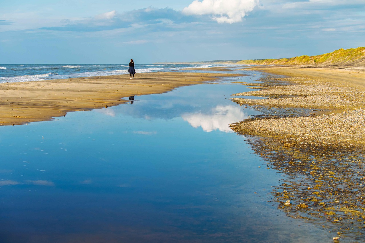 100 Free Meer Fowler Meer Images Pixabay