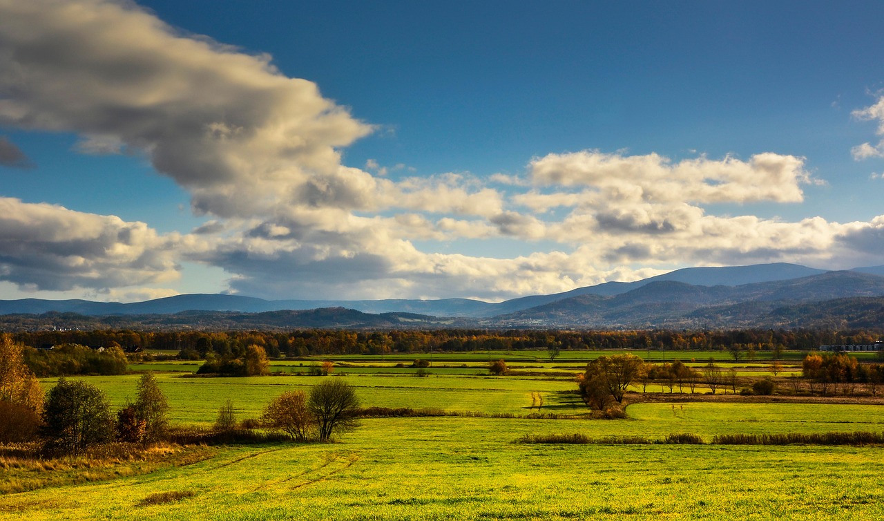 Fields - free online jigsaw puzzle photo