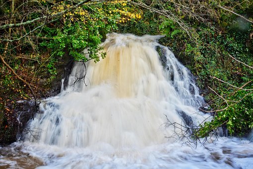 Free Cascade Nature photo and picture