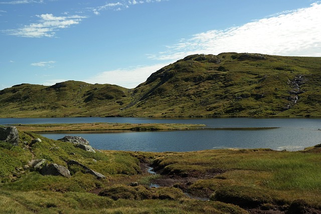 Free Summer Setesdal photo and picture