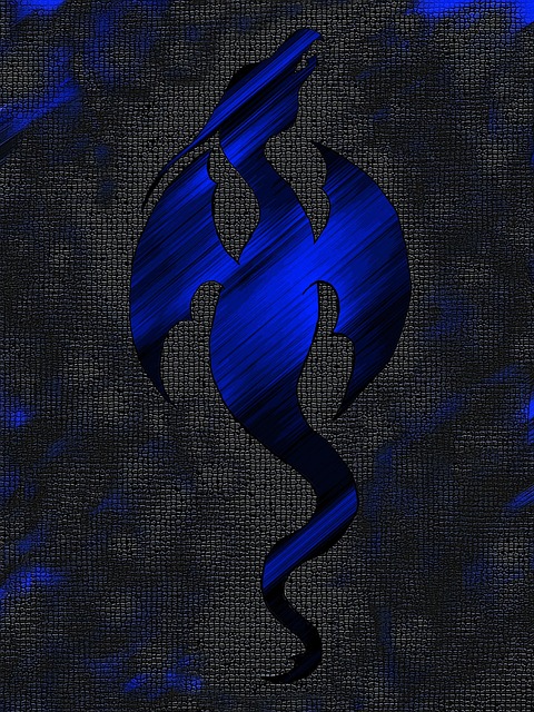 Free Dragon Dragoon photo and picture