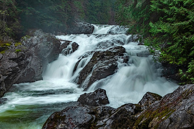 Free Water Snoqualmie River photo and picture