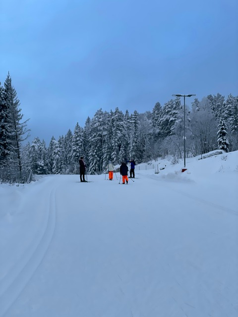 Free Cross-Country Skiing Ski photo and picture