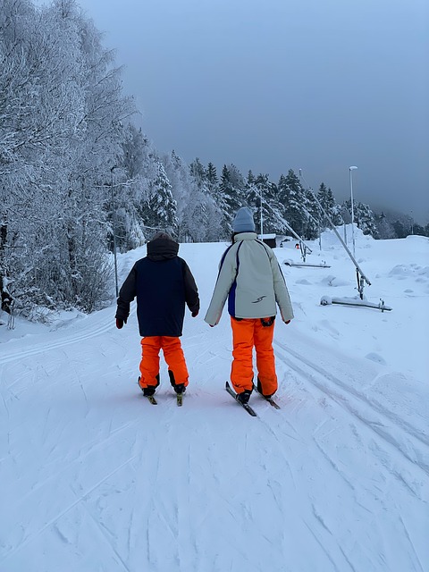 Free Ski Winter photo and picture