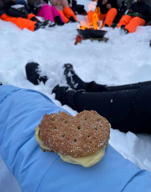 Free Winter Snow photo and picture