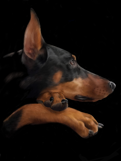 Sød, Hundehvalp, Hund, Doberman, Kæledyr