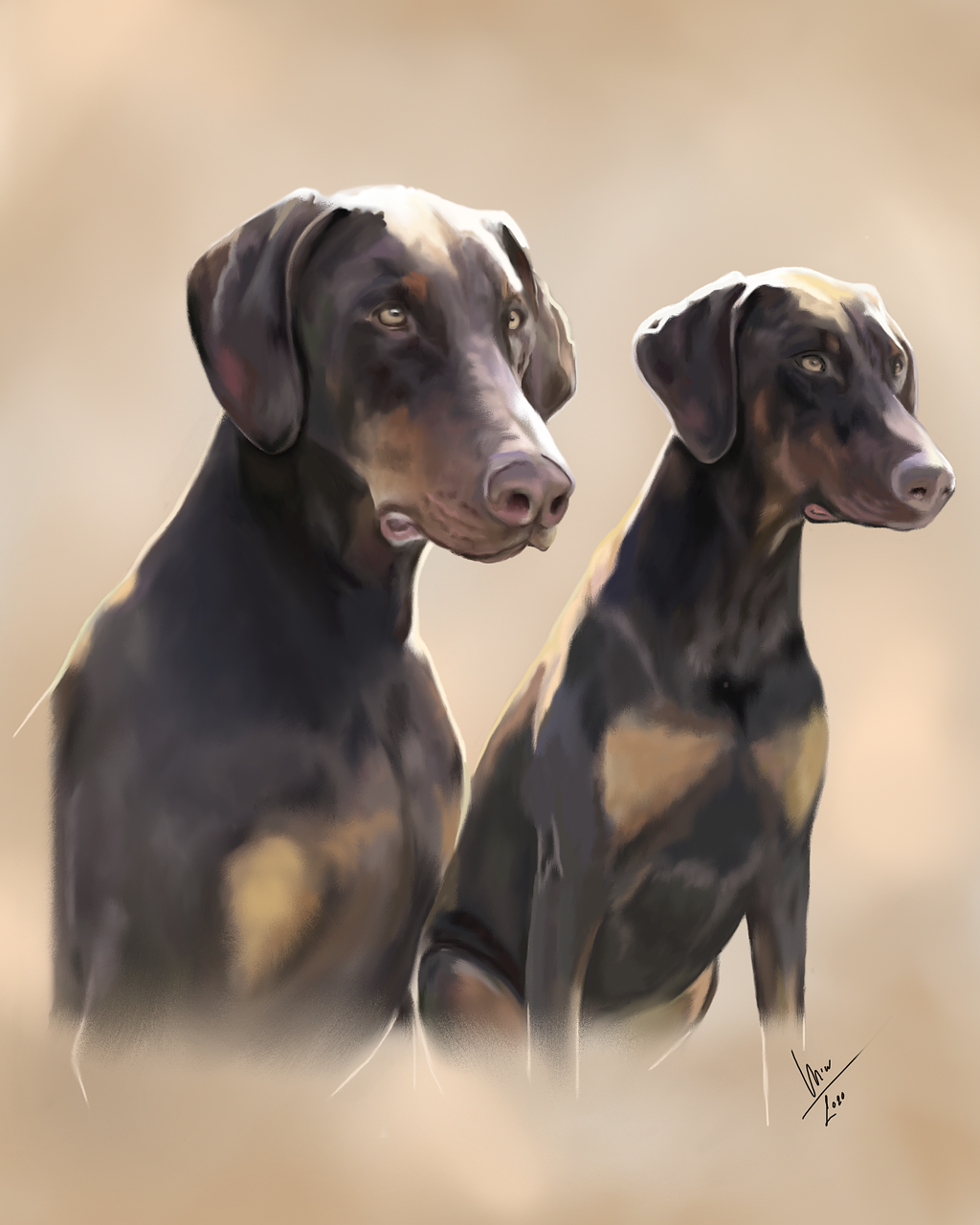 Download free HD stock image of Animal Canine Free animal canine pet illustration