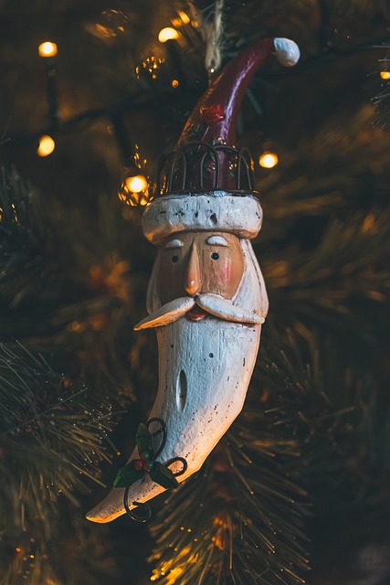 Free Christmas Gnome photo and picture