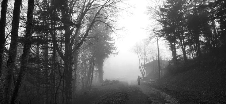 Free Foggy Mountains photo and picture
