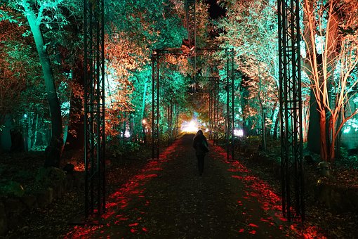 Farben, Von Bäumen Gesäumte Allee