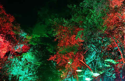 Herbst, Nocturne, Weihnachtsbeleuchtung