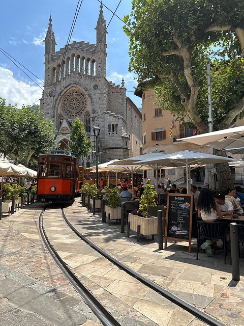 Free Palm Of Mallorca Soller photo and picture