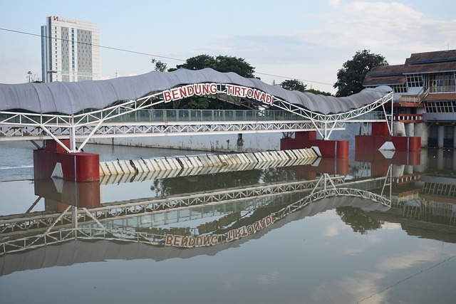 Río, Agua, Naturaleza, Atardecer, Sombra