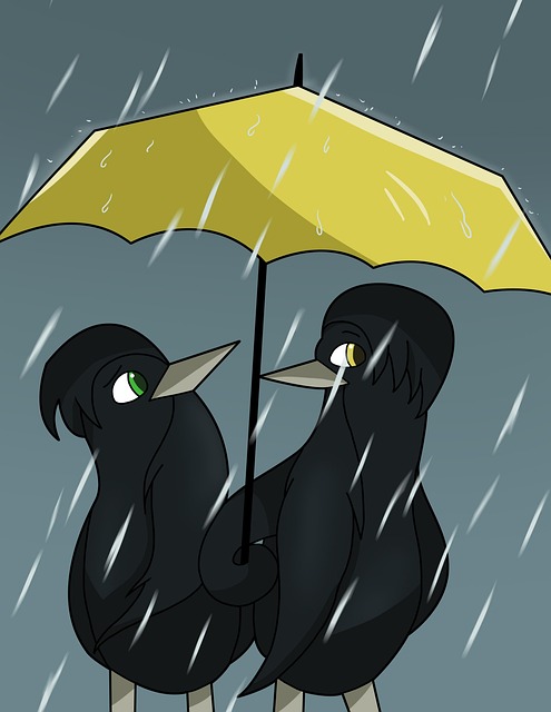 Chuva, Tempestade, Trovão, Guarda-Chuva