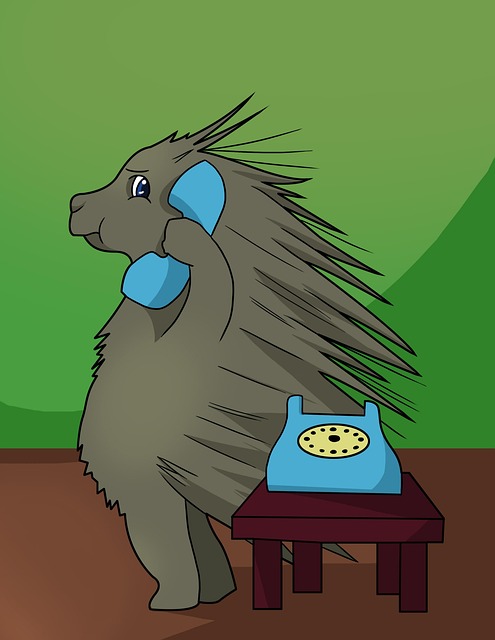 Porco-Espinho, Ligar, Telefone