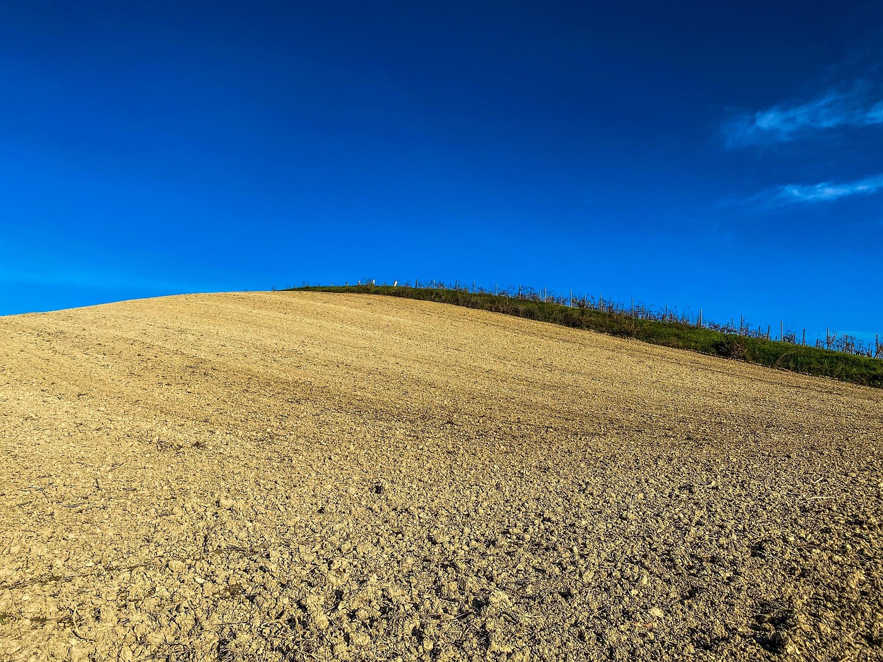 Photo Champ Champ Piemonte Monferrat - Photo gratuite sur Pixabay - Pixabay