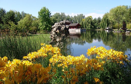 Jardim, Verão, Parque, Lago, Natureza