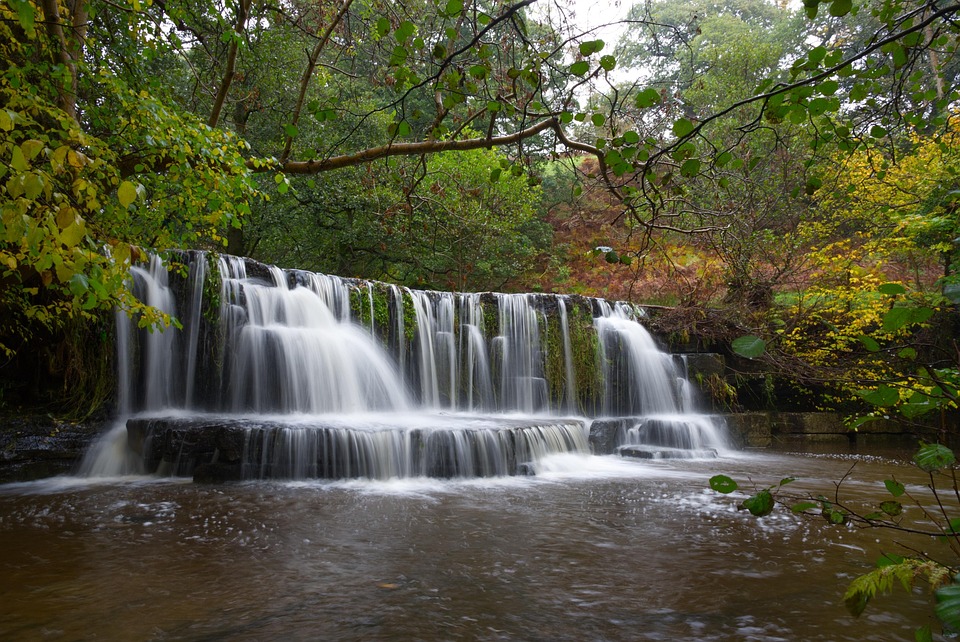 Waterfall In River Waterfall River Woods - Free photo on Pixabay - Pixabay