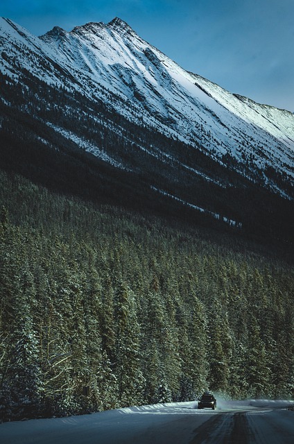 Free Winter Snow photo and picture