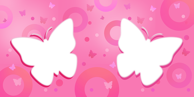 Free Frame Butterfly illustration and picture