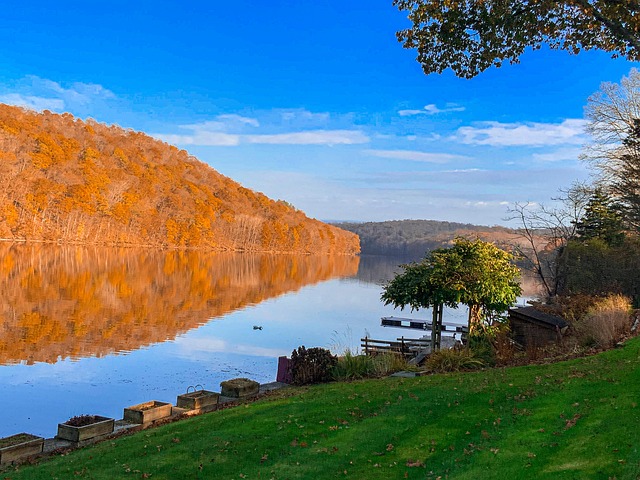 Free River Nature photo and picture