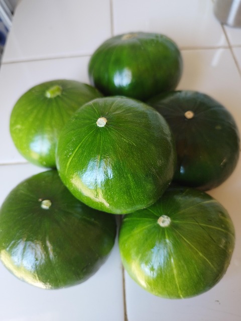 Free Zucchini Verones photo and picture