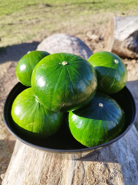 Free Zucchini Verones photo and picture