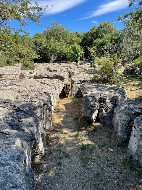 Free Rocks Labyrinth photo and picture
