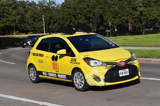 Táxi Amarelo, Taxista