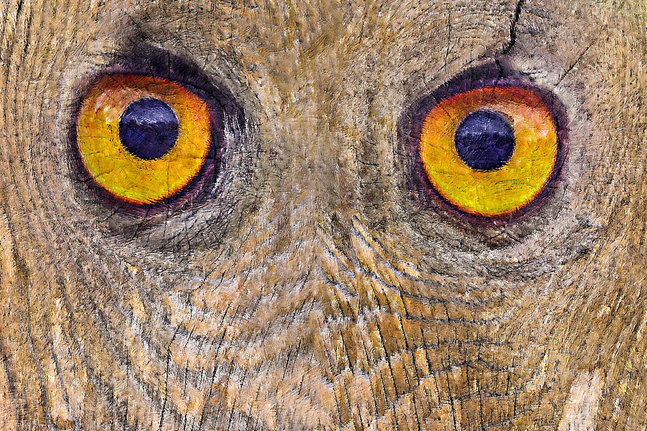 Eyes Of The Forest Free photo on Pixabay