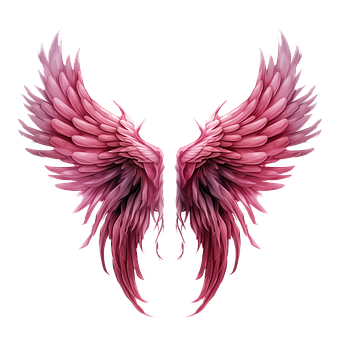 Flügel, Vogel, Engel, Tier, Rosa
