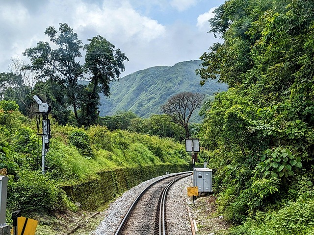 Naturaleza, Ferrocarril, Viaje, Tren