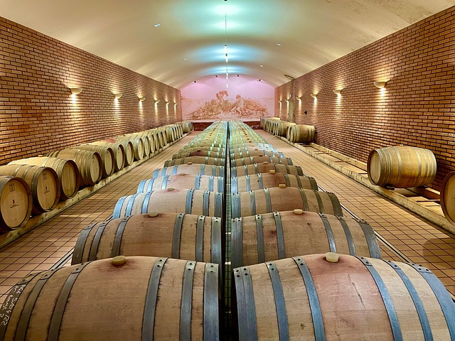 Free Vineyard Corsican photo and picture
