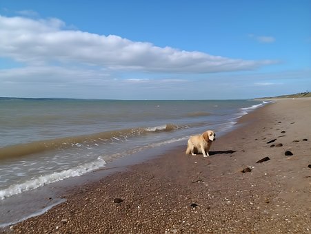 Sands, Browndown Point Strand
