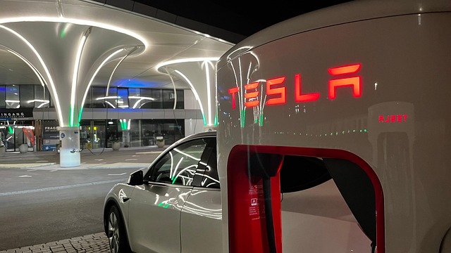 Tesla, Model Tre, Energi