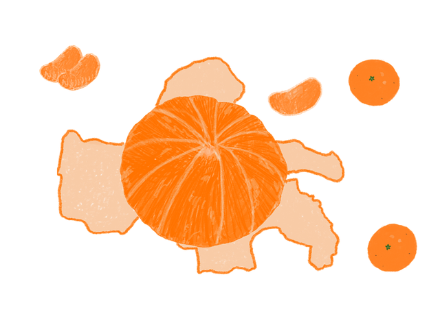 Free Mandarin Orange illustration and picture