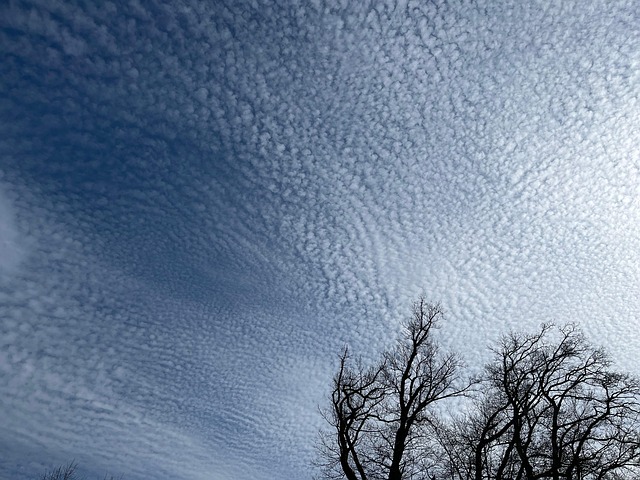 Himmel, Skyer, Træ, Sne, Natur, Landskab