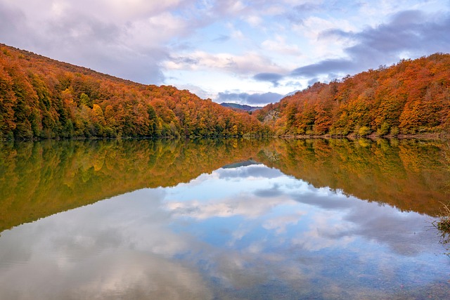 Free Lake Forest photo and picture